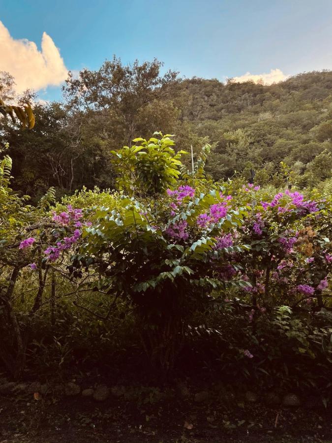 Residence Sucrerie Motel - Les Anses-D'Arlets - Martinique מראה חיצוני תמונה